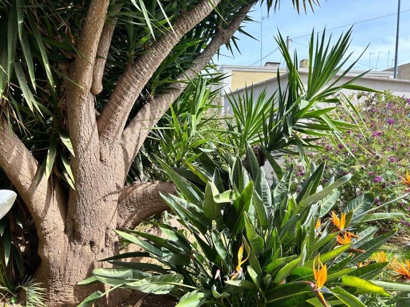 Giardino A Mare Apartment Bari Exterior photo